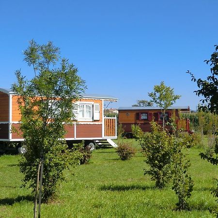 Les Roulottes-Gites De La Ferme De L'Autruche Dromoise Livron-sur-Drôme Kültér fotó